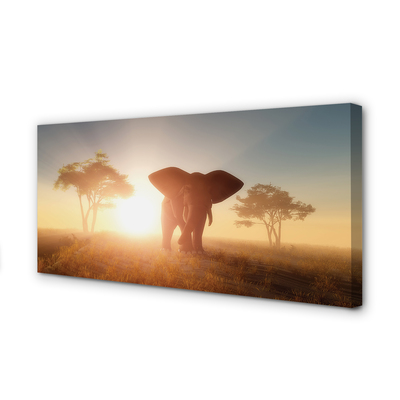 Canvas képek Elefánt fa keletre