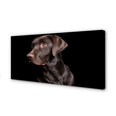 Canvas képek barna kutya