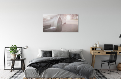Canvas képek Ezüst autó utcai fa