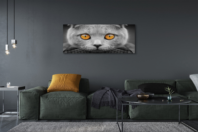 Canvas képek Gray brit macska