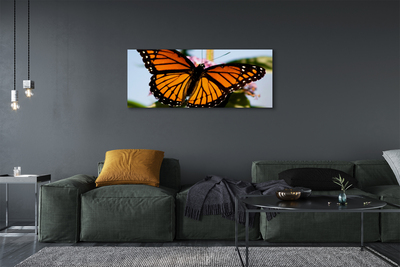 Canvas képek színes pillangó