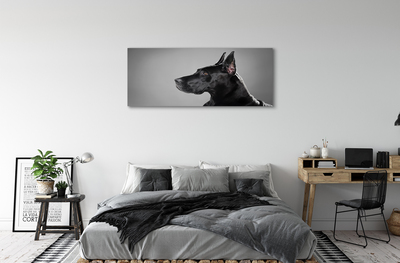 Canvas képek Fekete kutya