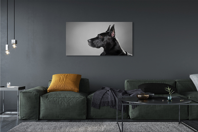 Canvas képek Fekete kutya