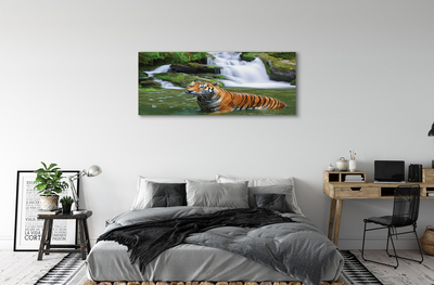 Canvas képek tigris vízesés