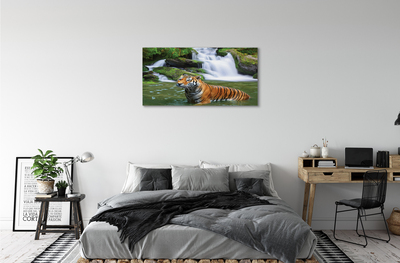 Canvas képek tigris vízesés