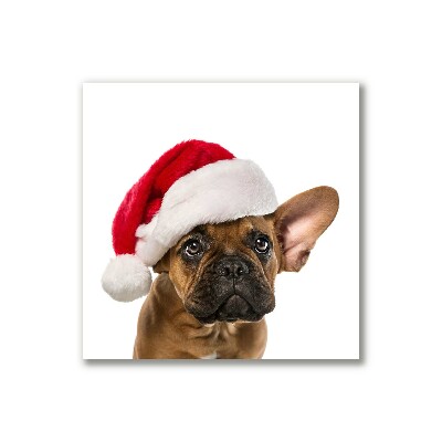 Canvas képek Bulldog karácsonyi kutya