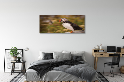 Canvas képek Papagáj