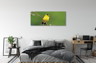 Canvas képek sárga papagáj