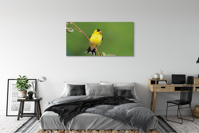 Canvas képek sárga papagáj