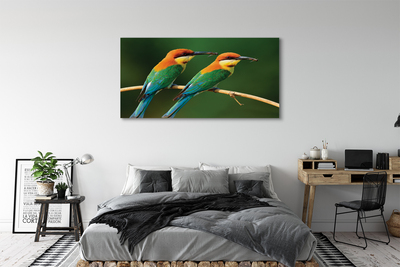 Canvas képek Színes papagáj egy ágon