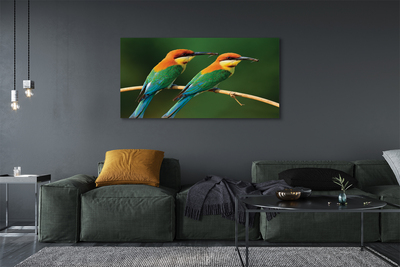 Canvas képek Színes papagáj egy ágon