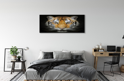 Canvas képek Tigris