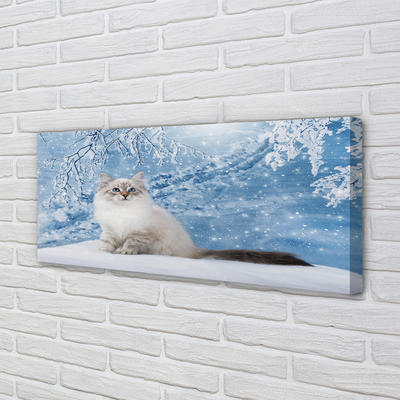 Canvas képek macska télen