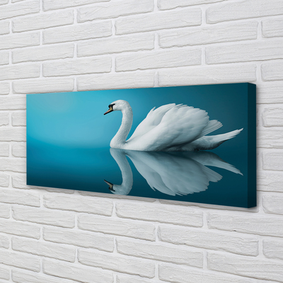 Canvas képek Swan vízben