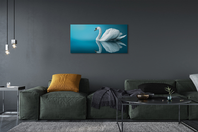 Canvas képek Swan vízben
