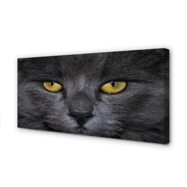 Canvas képek Fekete macska