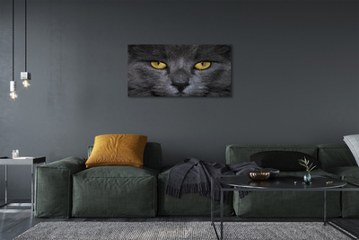 Canvas képek Fekete macska