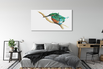 Canvas képek Színes festett papagáj