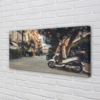 Canvas képek Városi motorkerékpárok tenyér nyár