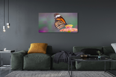 Canvas képek Színes pillangó virág