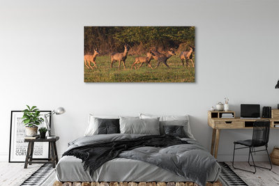 Canvas képek Deer Golf napkelte