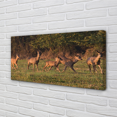 Canvas képek Deer Golf napkelte