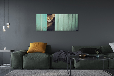 Canvas képek Zaglądający macska