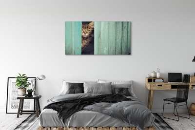 Canvas képek Zaglądający macska