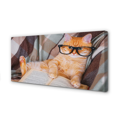 Canvas képek Az olvasó macska