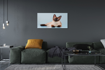 Canvas képek fekvő macska