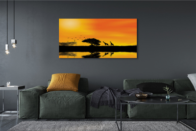 Canvas képek Zsiráfok fa West Lake