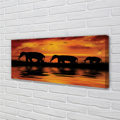 Canvas képek West Lake elefántok