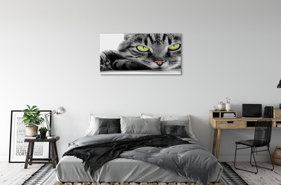 Canvas képek Szürke-fekete macska