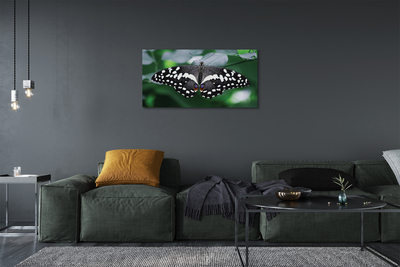 Canvas képek Színes pillangó levelek