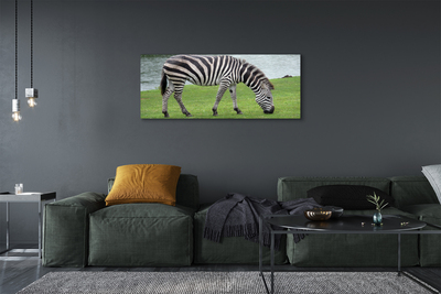 Canvas képek zebra