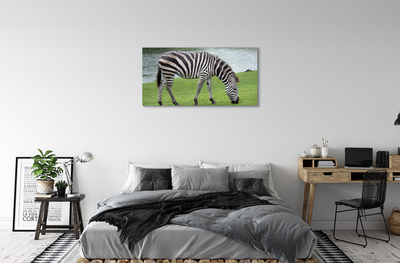 Canvas képek zebra