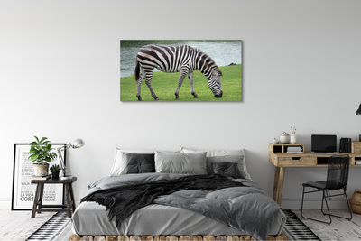 Canvas képek zebra