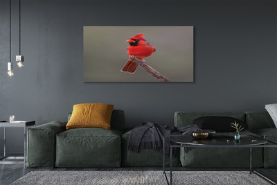 Canvas képek Piros papagáj egy ágon