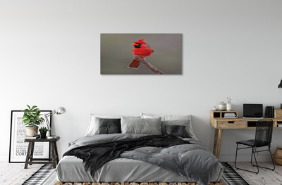 Canvas képek Piros papagáj egy ágon