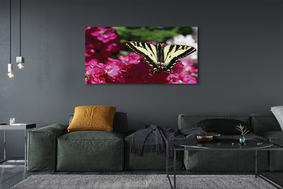 Canvas képek virágok pillangó