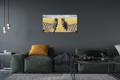 Canvas képek zebra box