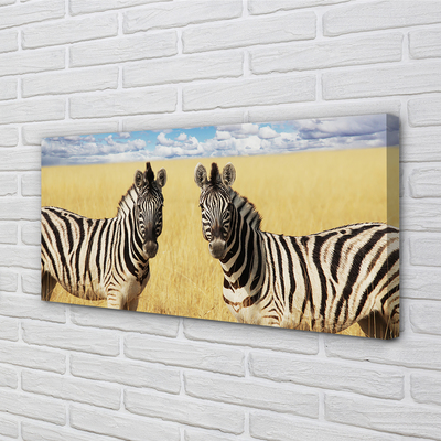 Canvas képek zebra box