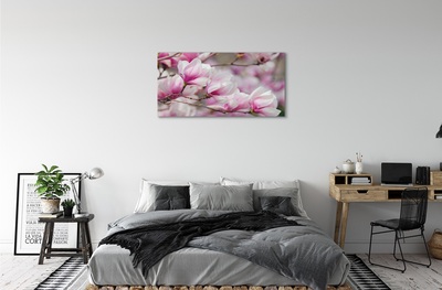 Canvas képek fahéjvirág