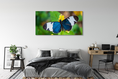Canvas képek Színes pillangó virágok