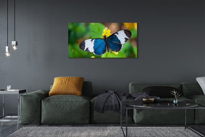 Canvas képek Színes pillangó virágok