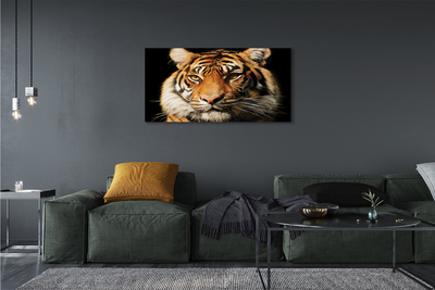 Canvas képek Tigris