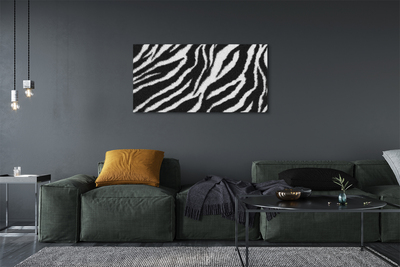 Canvas képek zebra szőrme