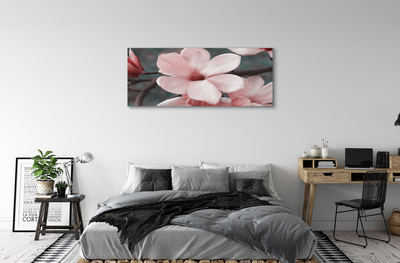 Canvas képek rózsaszín virágok