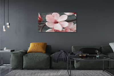 Canvas képek rózsaszín virágok