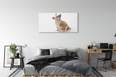 Canvas képek Ülő kis kutya